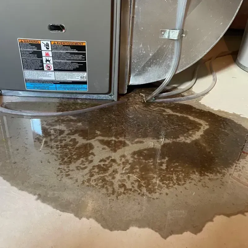 Appliance Leak Cleanup in Thorndale, PA